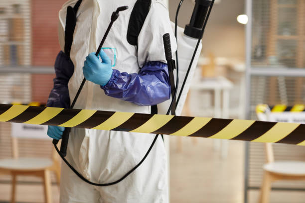Professional Sewage Cleanup technician working in Cross Plains, TX